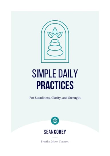 Simple Daily Practices guide cover
